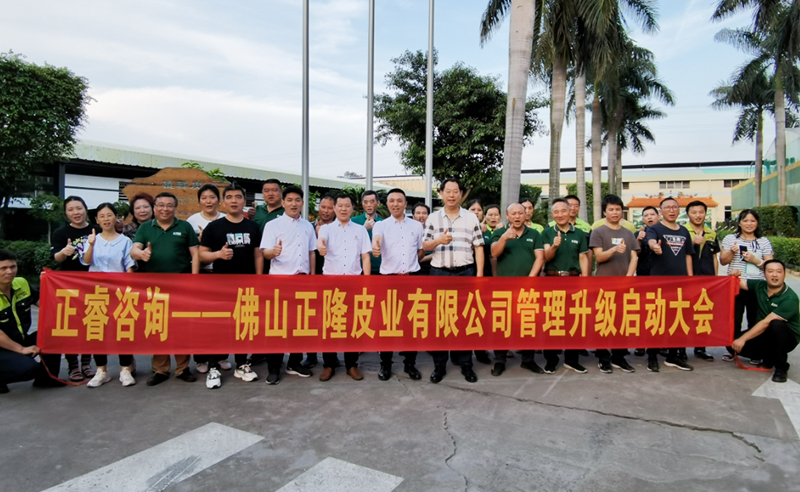 助力皮革行業(yè)再樹標桿——正隆皮業(yè)全面管理升級項目啟動！