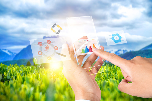 供應(yīng)鏈管理：打造高效、靈活與可持續(xù)的供應(yīng)鏈網(wǎng)絡(luò)