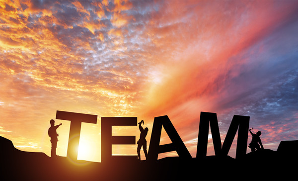 組織規(guī)劃管理：構(gòu)建高效團(tuán)隊(duì)，引領(lǐng)企業(yè)穩(wěn)健發(fā)展