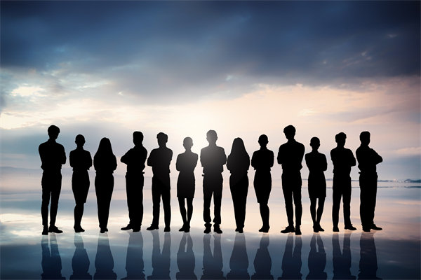 優(yōu)化組織結(jié)構(gòu)，提升協(xié)作效能，助推組織發(fā)展新高度