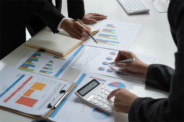 預(yù)算管理策略：優(yōu)化資源配置，提升企業(yè)財務(wù)效能