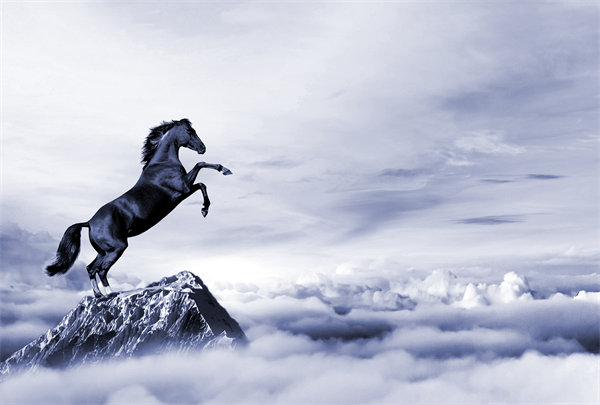 深度整合企業(yè)戰(zhàn)略資源，構建高效運營管理體系