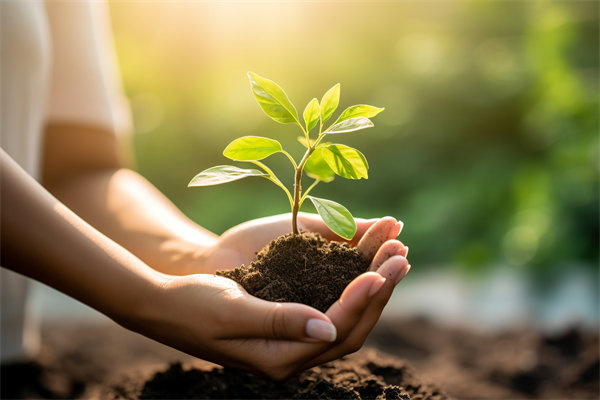 可持續(xù)發(fā)展成為趨勢，企業(yè)如何融入綠色戰(zhàn)略以促增長？