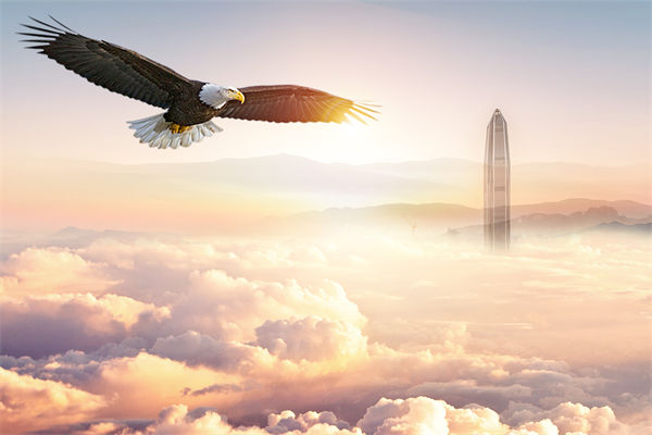 企業(yè)文化與企業(yè)管理如何協(xié)同，推動企業(yè)持續(xù)發(fā)展？