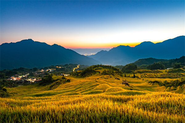 麗水組織規(guī)劃咨詢公司如何為企業(yè)構(gòu)建高效組織架構(gòu)？