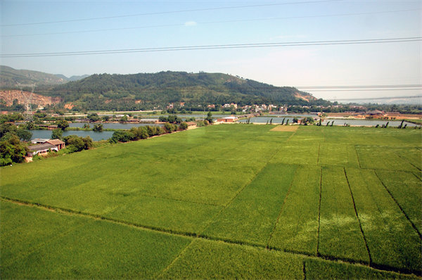 清遠(yuǎn)營銷咨詢公司如何精準(zhǔn)定位企業(yè)目標(biāo)市場？