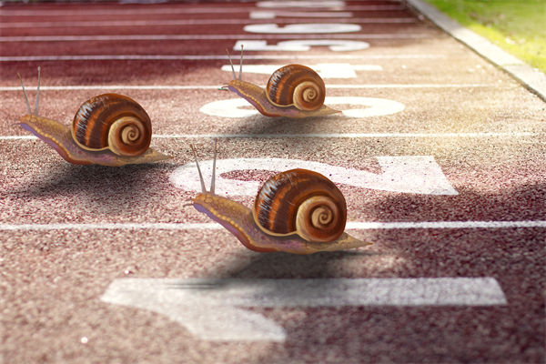 新業(yè)務(wù)拓展艱難，年度經(jīng)營(yíng)計(jì)劃為其定制專屬發(fā)展路徑