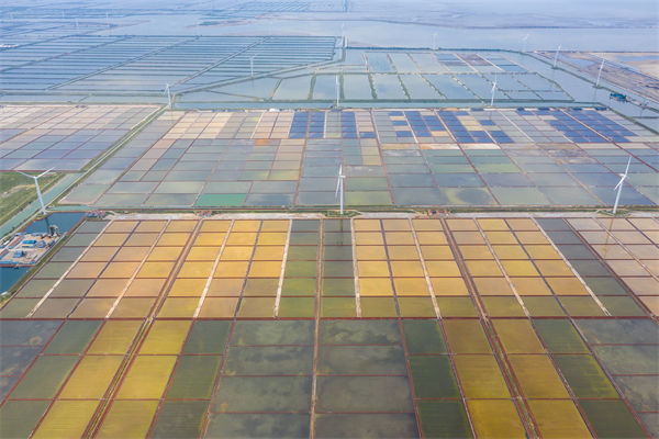 濰坊制造業(yè)招工難留人更難，濰坊人力資源咨詢公司如何破局用工困局？