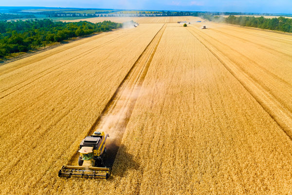 農(nóng)業(yè)行業(yè)供應(yīng)鏈管理咨詢公司推薦，能解農(nóng)資采購成本高問題嗎？